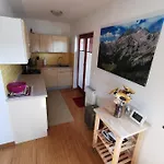 Apartma Neva 博希尼