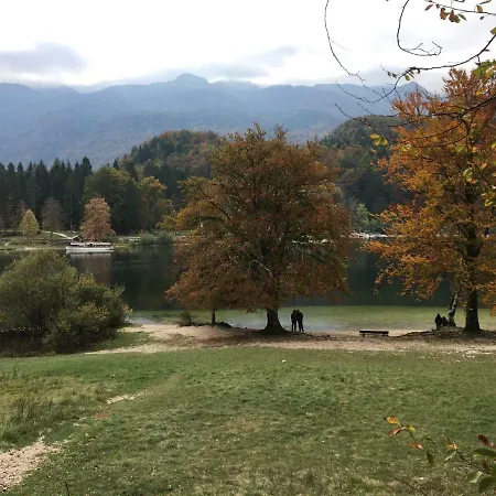 Apartma Neva Appartement Bohinj