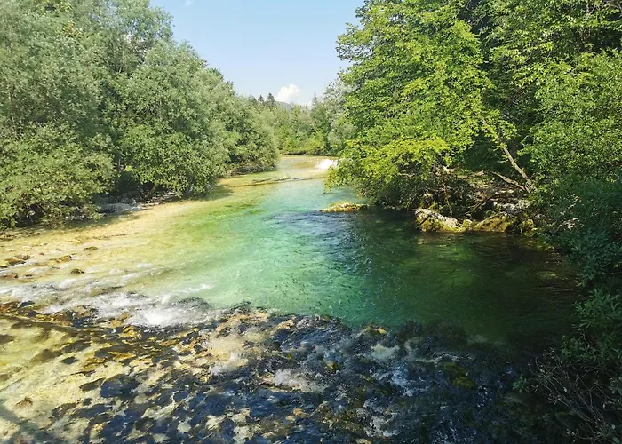 Apartma Neva Appartement