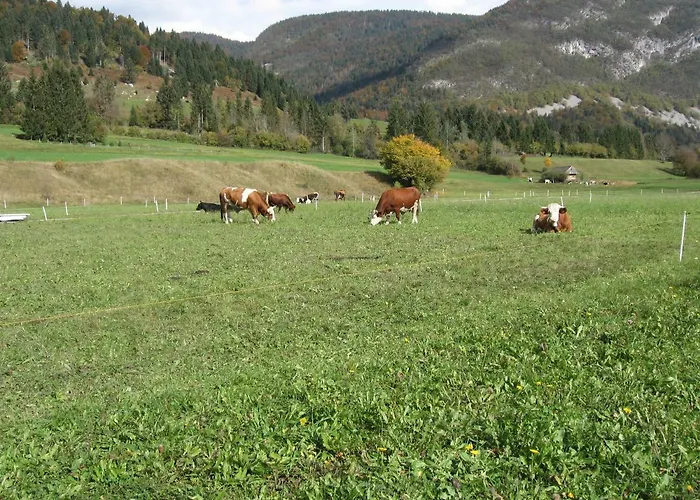 Appartement Apartma Neva