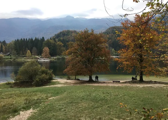 Apartma Neva Appartement Bohinj