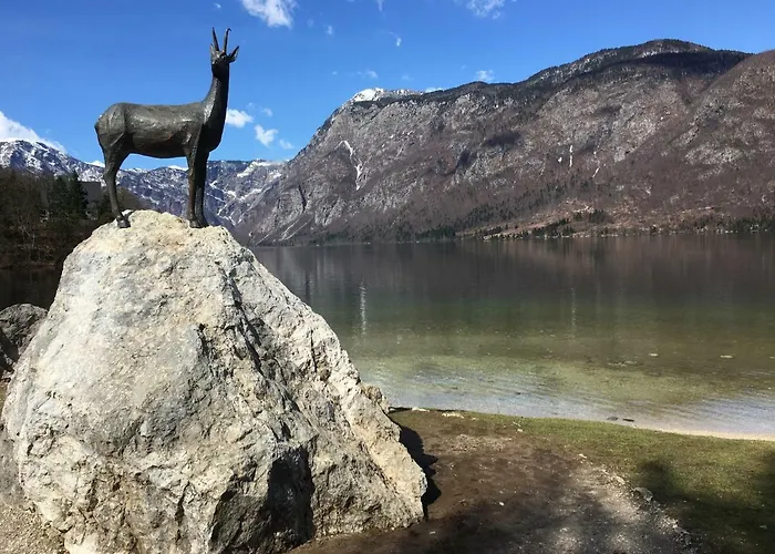 Apartma Neva Appartement